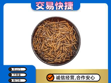 晋城市陵川高价回收散虫草